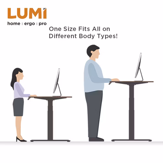 White Metal Frame, Fsc Bamboo Top Sit Stand Modern Home Office Desk