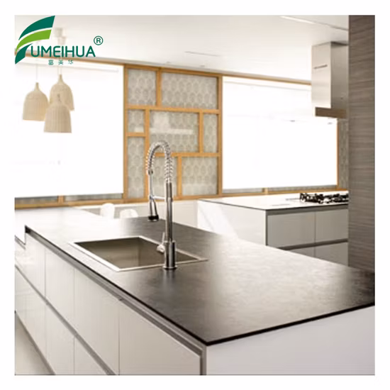 Laboratory Room Biometric Chemical Resistance Worktop